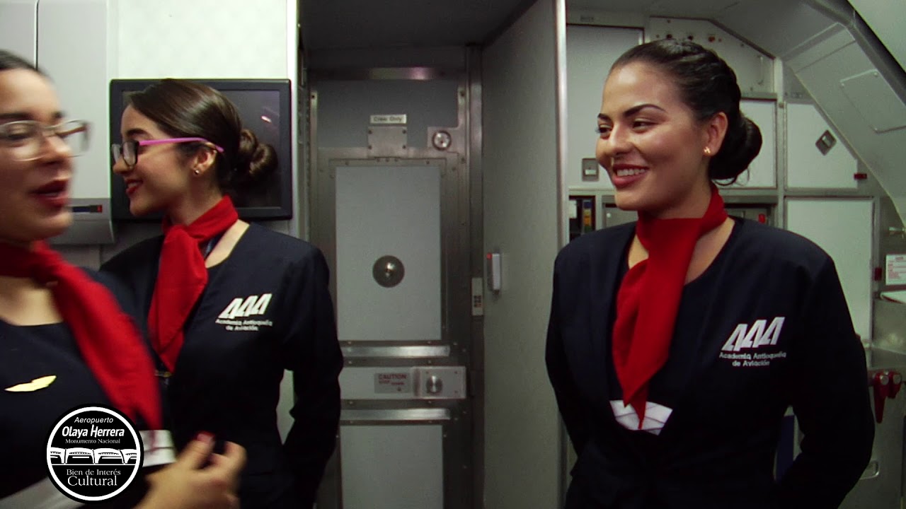 Auxiliar de Vuelo