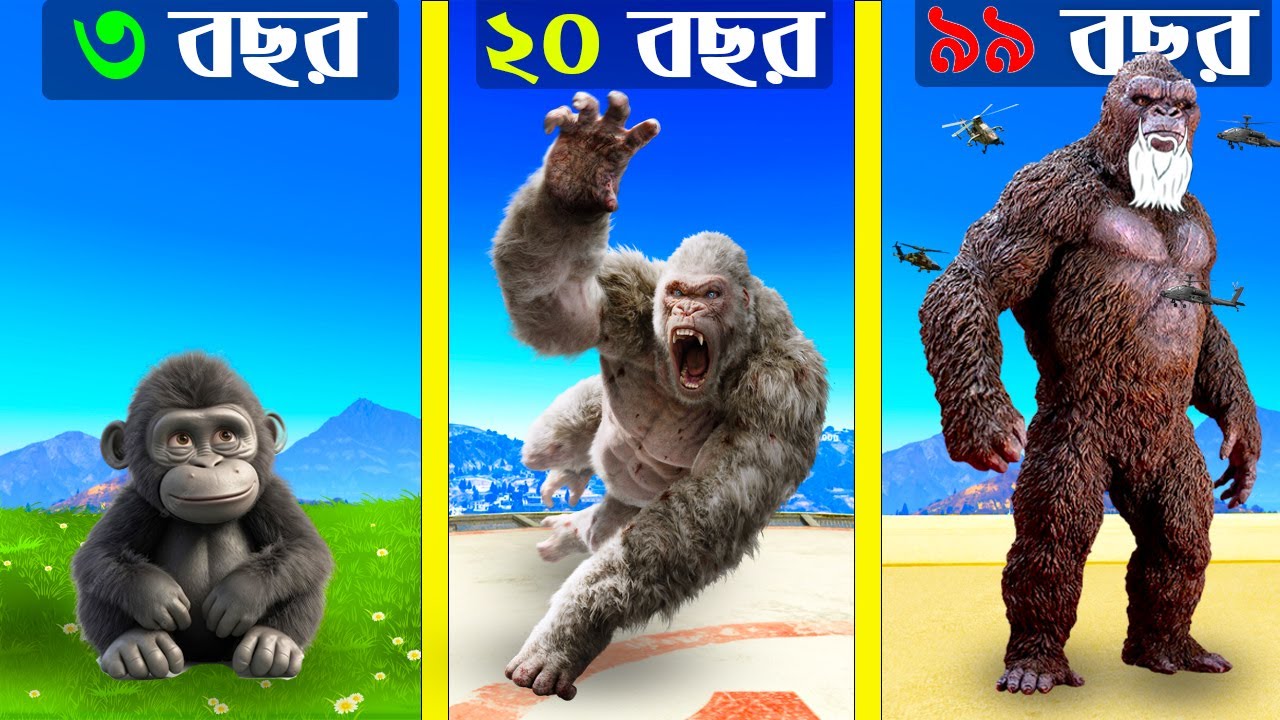 King Kong - এর 99 বছরের কাহিনী in GTA V II MrReo.