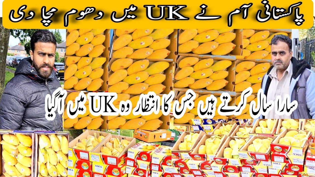 Best Pakistani Mango In UK | Pakistani  Mango In Bradford | Pakistani mango 2022 by @DESILOGINUK
