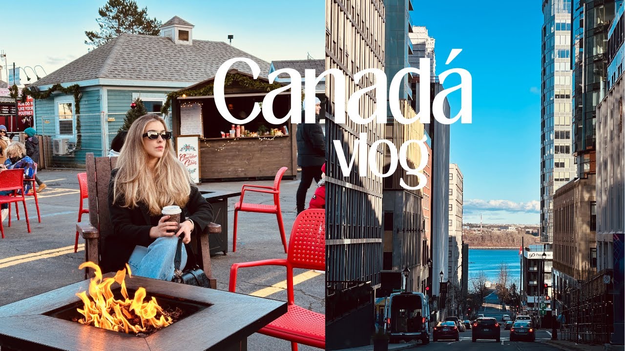 Canadá vlog: Mudança, compras e mercado de natal...