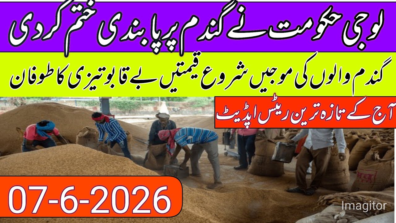 New Gandum Rates Today 2026 || New Wheat Price Today || Gundam kay RatesToday 2026