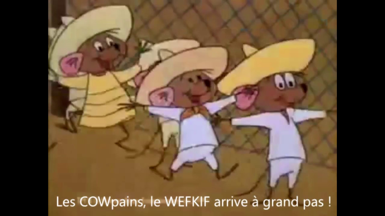 Pr&eacute;sentation WEFKIF 2017