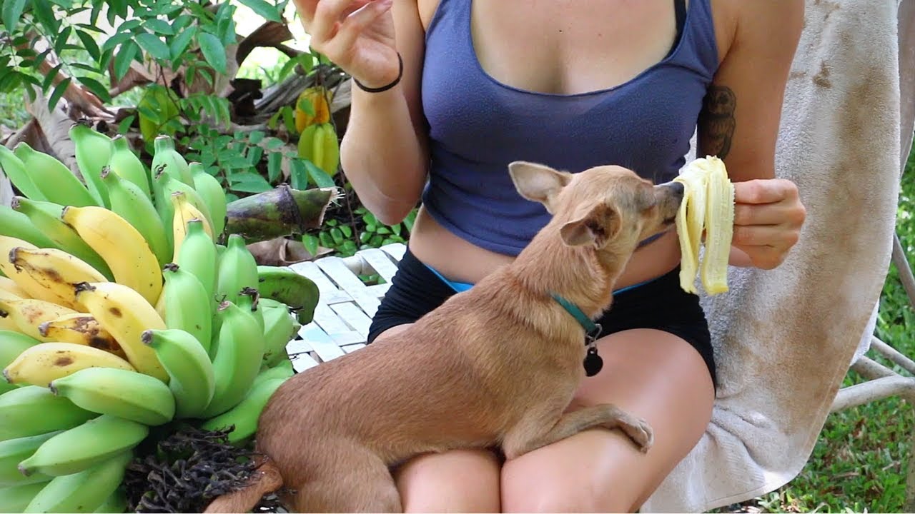 Harvests, HEALTHY Hydration, and Herps || What I Eat (and drink) in a Day