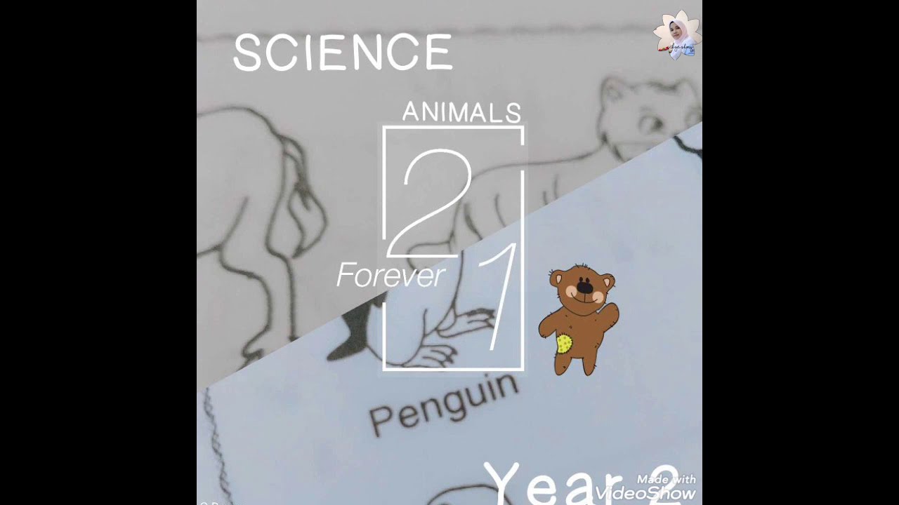 SCIENCE YEAR 2-UNIT 4 ANIMALS (ANIMAL REPRODUCTION-LAY A FEW & LAY MANY EGGS |CikguSHMY
