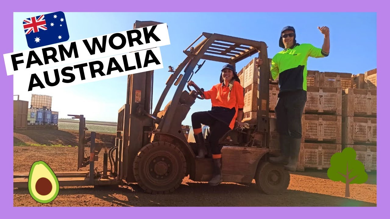 ▶ Каково это РАБОТАТЬ НА ФЕРМЕ В АВСТРАЛИИ 🚜👨‍🌾 FARMWORK Australia 🥑 МИРОВОЙ ТУР №24