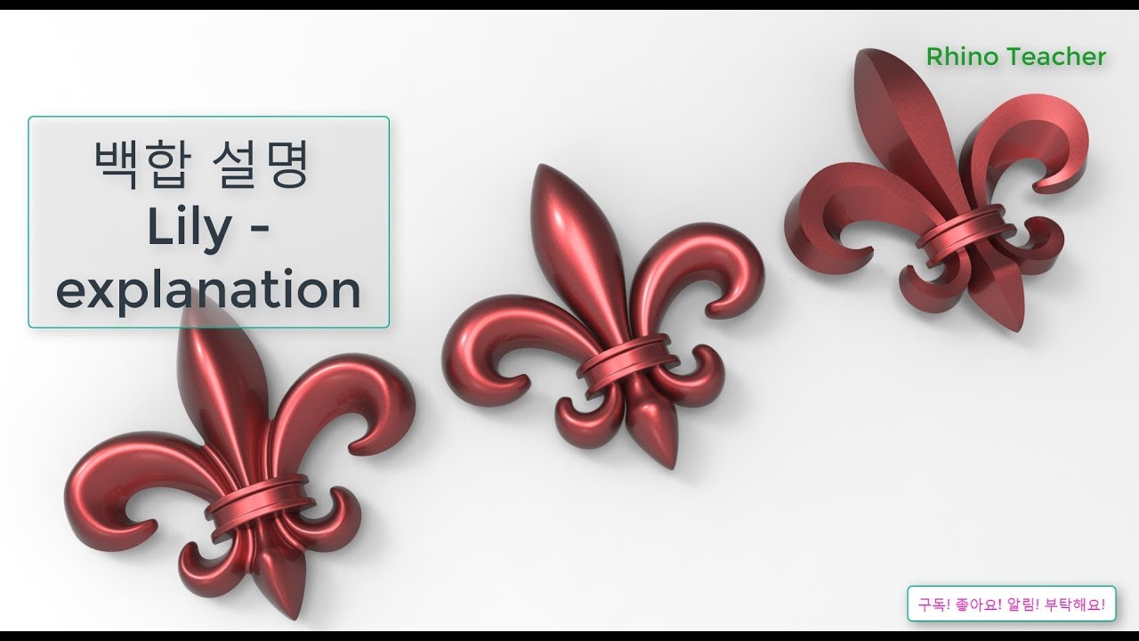 주얼리 (jewelry) 라이노3D  튜토리얼 (Rhino3D tutorial)  백합 부조 설명 Lily - Relief - explanation