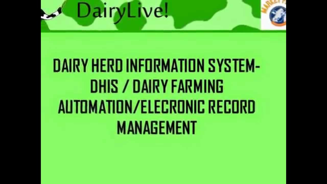 DAIRYLIVE: HERD MANAGEMENT SYSTEM