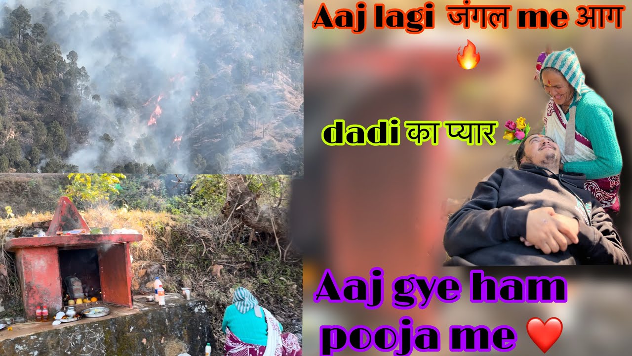 Aaj lagi जंगल me आग🔥dadi का प्यार🤗Aaj gye ham pooja me❤️#youtube #dailyvlog #phadilifestyle 