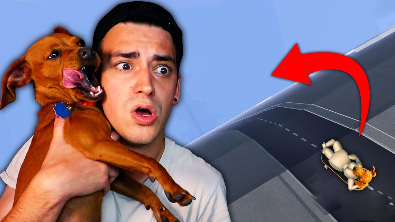MY DOG SKATES DOWN A 1,000 FOOT HILL! (Turbo Dismount)
