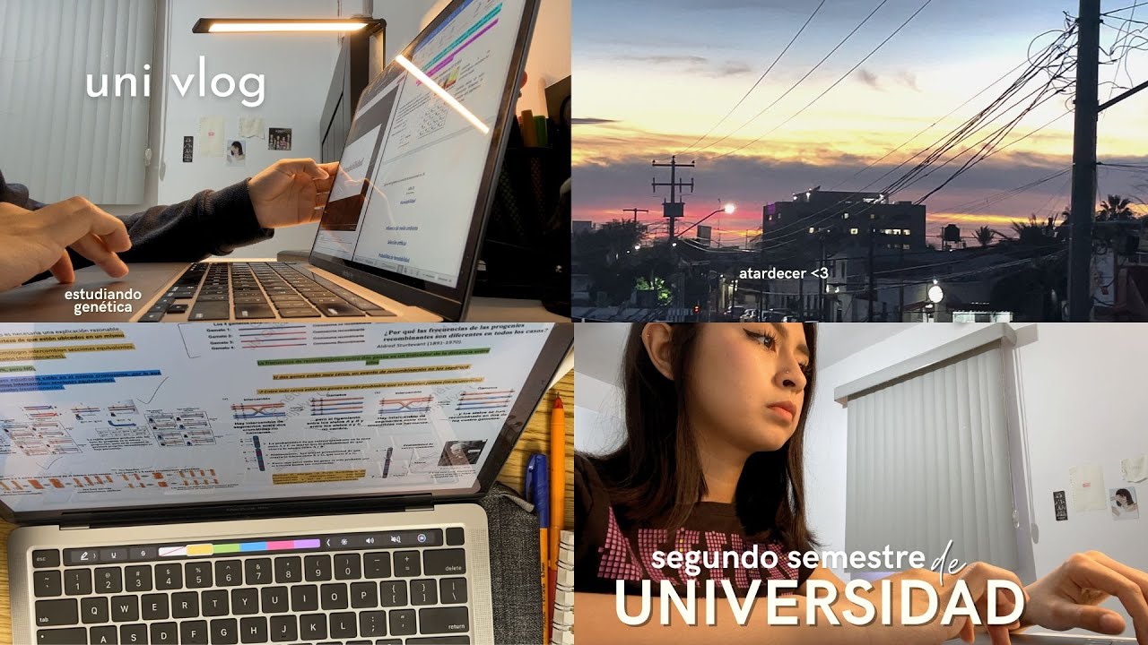 STUDY VLOG 🧬📓 estudiando a las 2:00AM, días productivos viviendo sola a los 18 y exámenes 🖇️