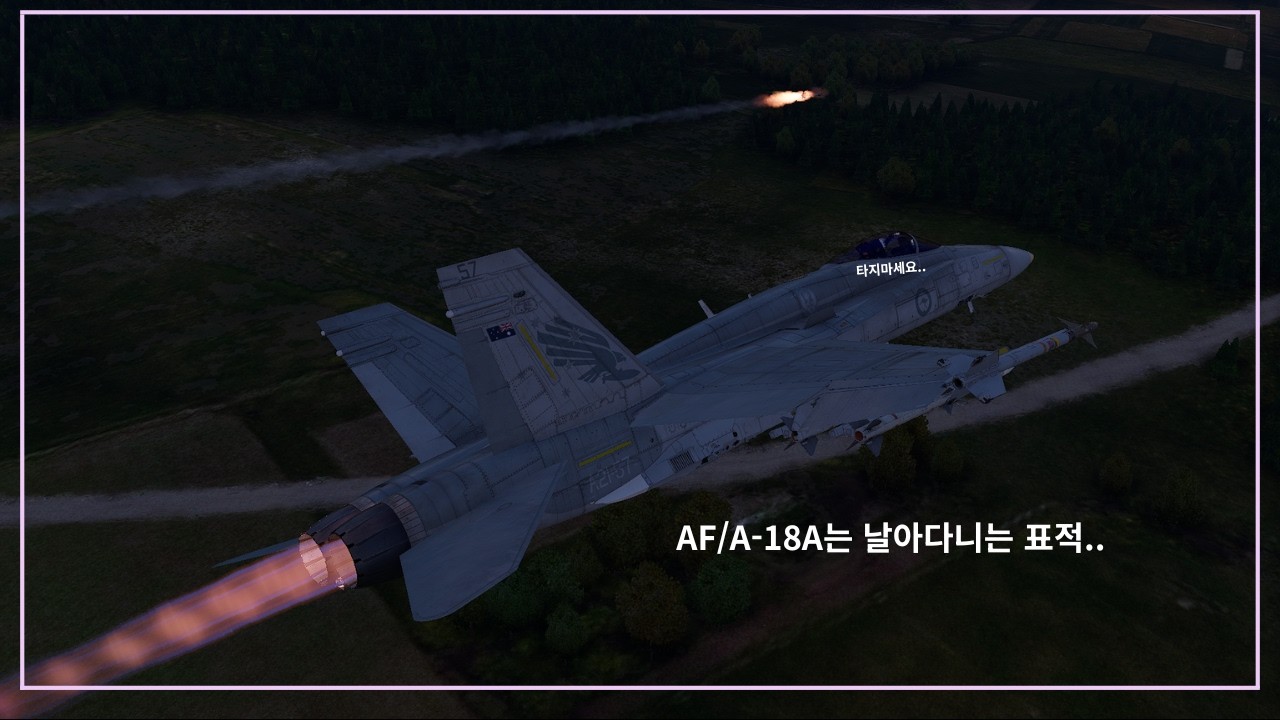 [워썬더] AF/A-18A 후기형 날아다니는 표적임..