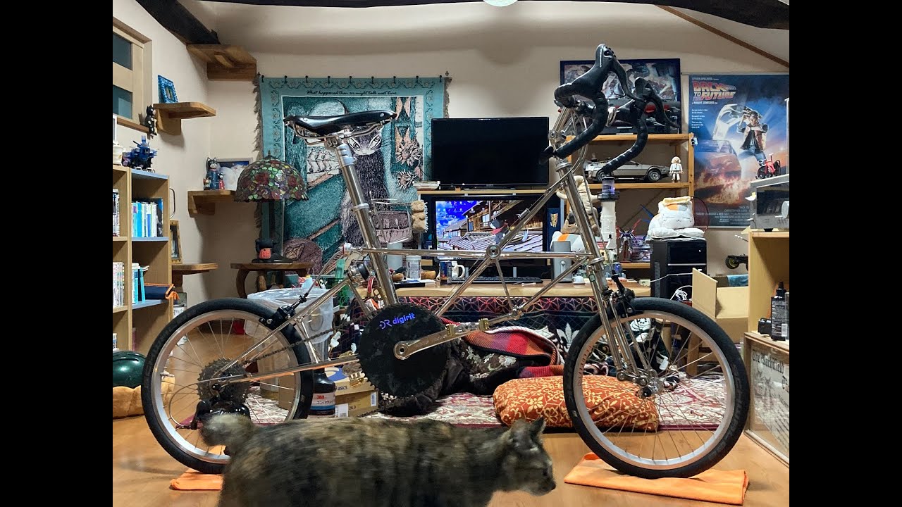 ALEX MOULTON (アレックスモールトン) AM-GT MK.3 磨いてみました