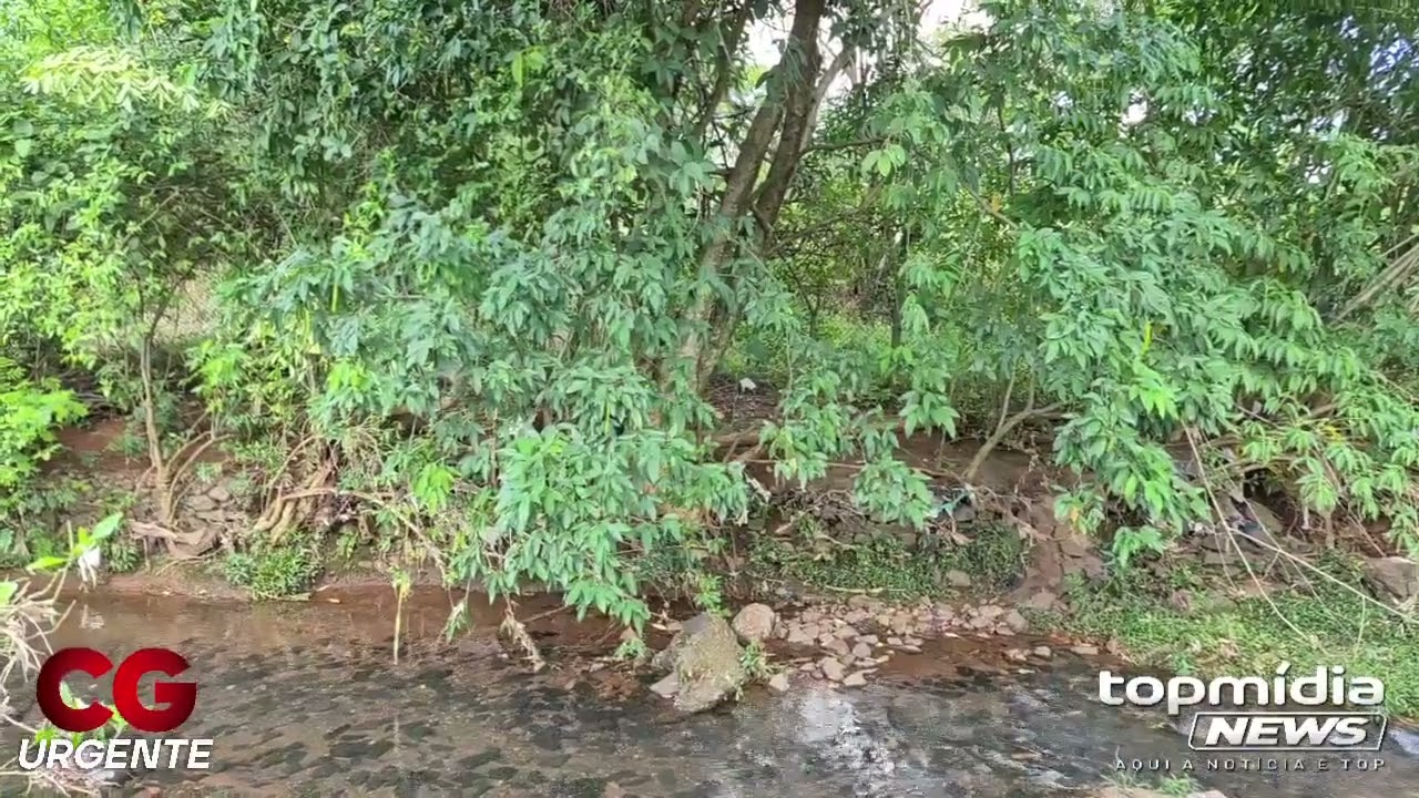 Vendedor vê c0rp0 apodrecido no Parque das Nações: cheiro horrível