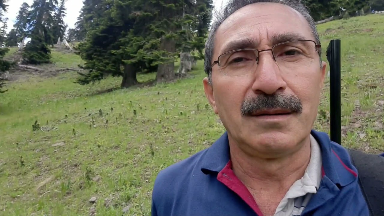 Giresun Alucra Subaşı Guzyurt Yaylası