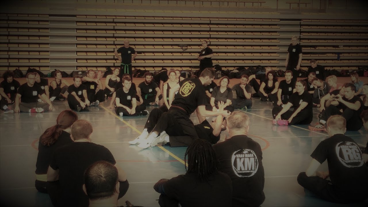 stage krav maga Rouen Team R.Gros 26 nov 2017