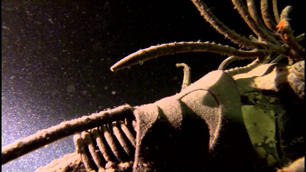 2014.08.27 Le Dragon de Boudry plongée Lac de Neuchâtel