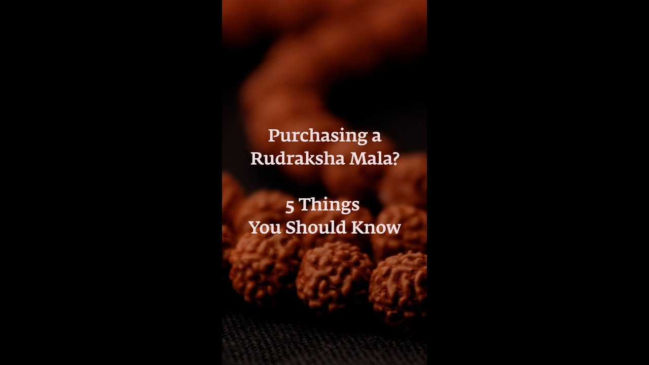 Purchasing a Rudraksha Mala? 5 Things You Should Know