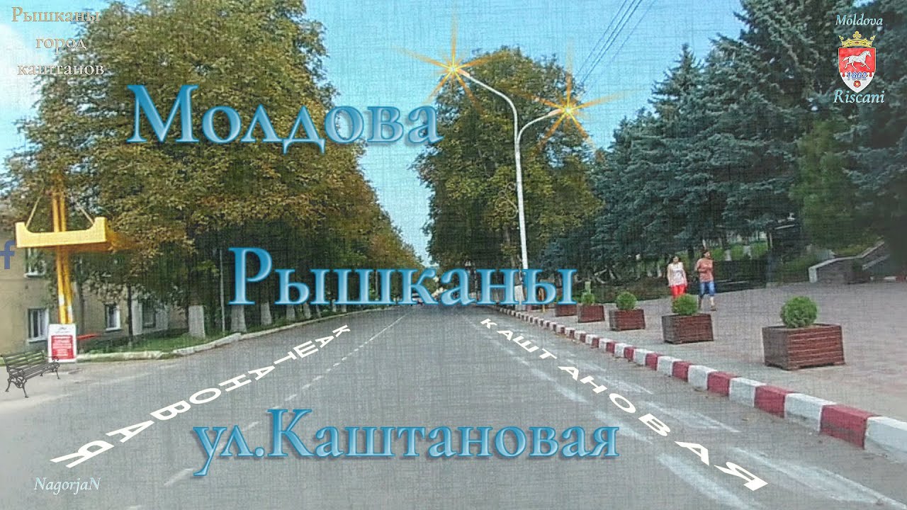 🟢Riscani  Moldova.(TVV)🍇  ул.Каштановая