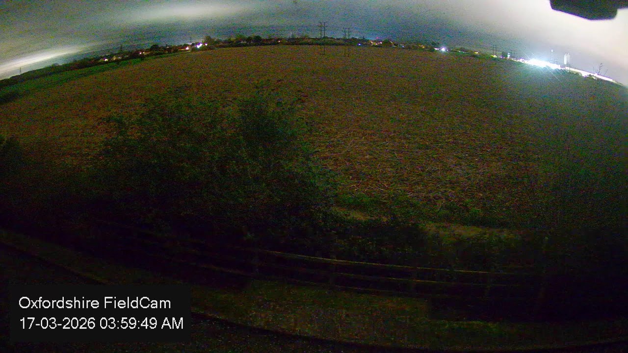 🔴 LIVE Oxfordshire FieldCam - Live Streaming from Oxfordshire, UK