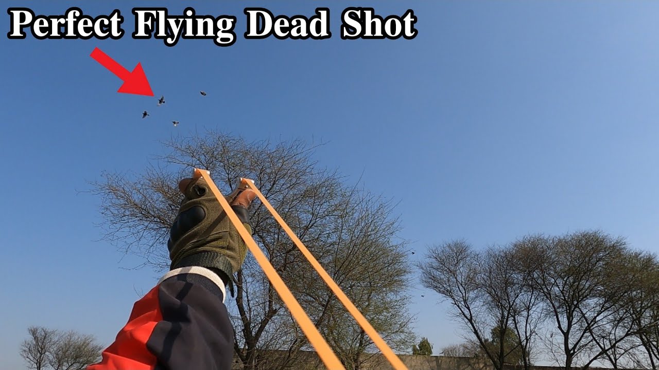 Slingshot Flying Birds Hunting !