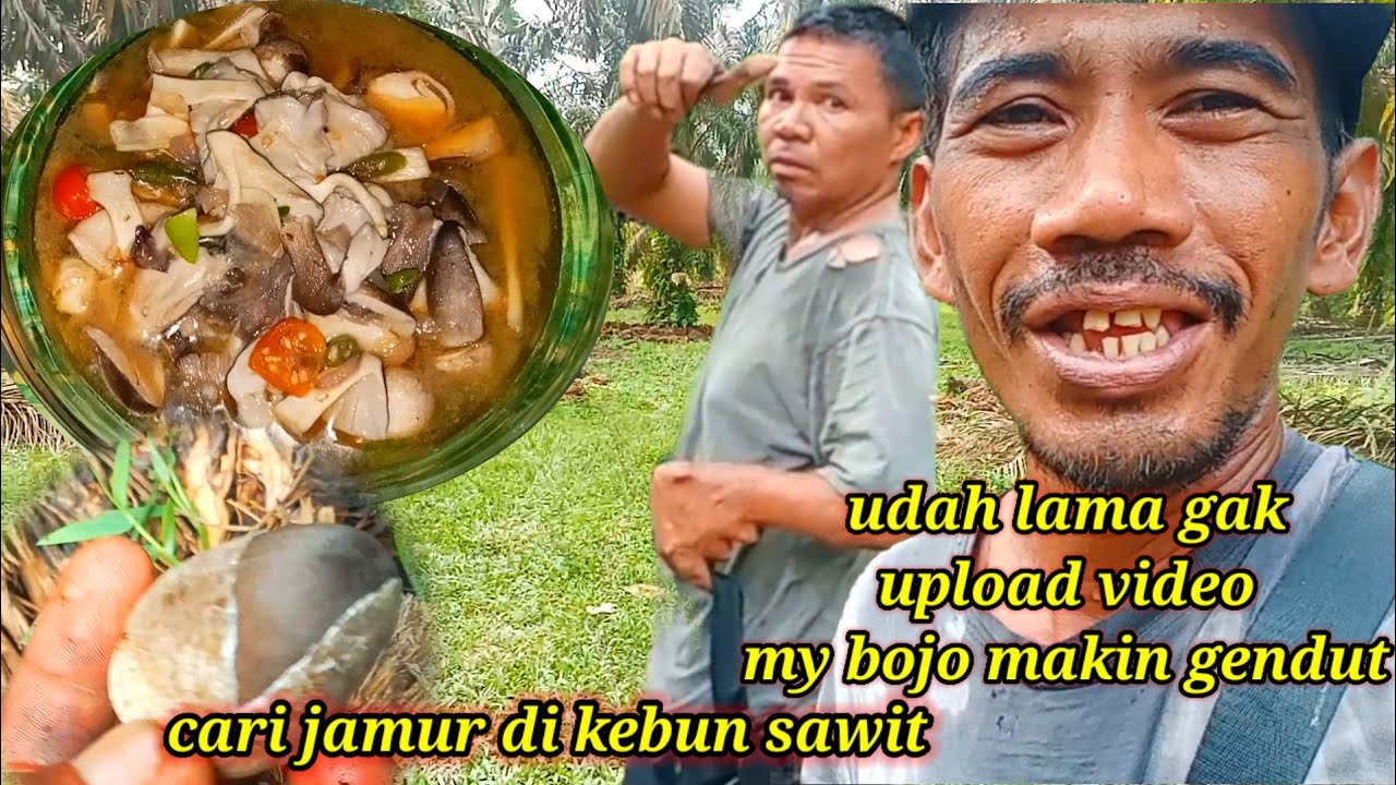GAK BOLEH DIET MY BOJO JADI GENDUT