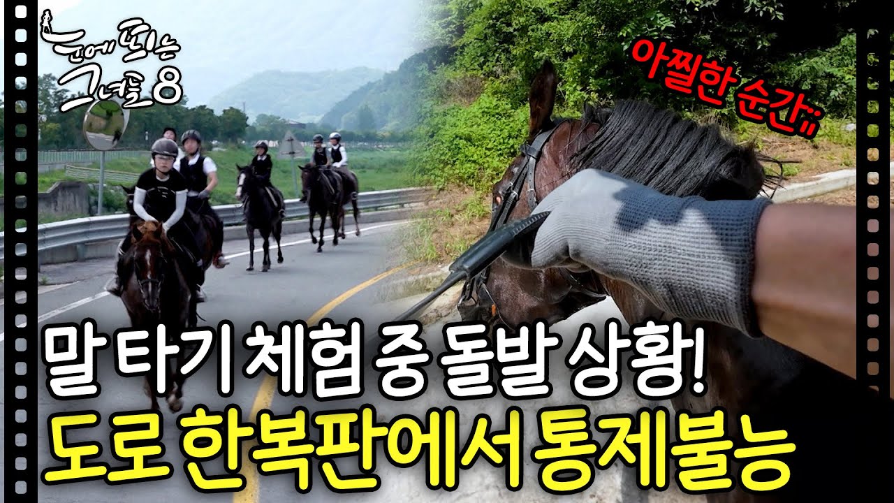 🚨 체험 중 돌발 사건 발생🚨 도로 한복판, 통제불능 상황이 된 말 ㅣ눈에 띄는 그녀들8 EP. 1-2