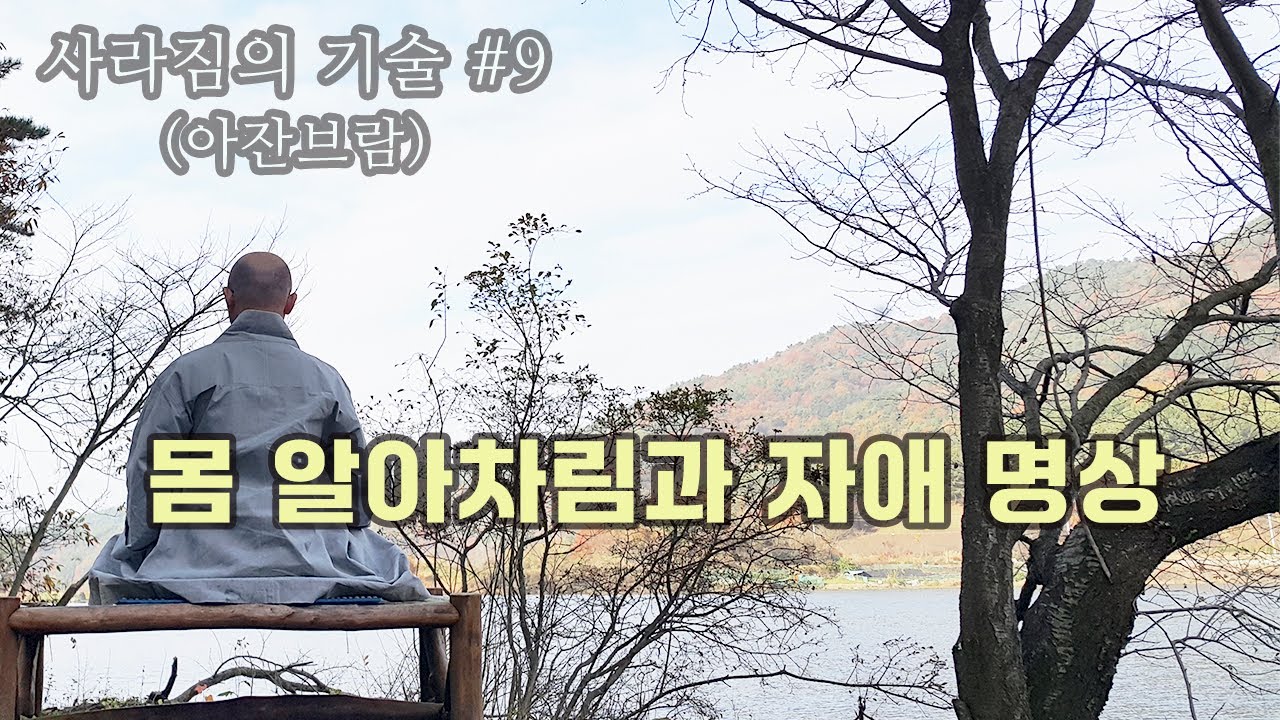 (9강)  몸과 마음을 치유하는 자애명상. 자애심이  명상의 기초가 되어야 하는 이유 ㅣ사라짐의 기술ㅣ혜안스님