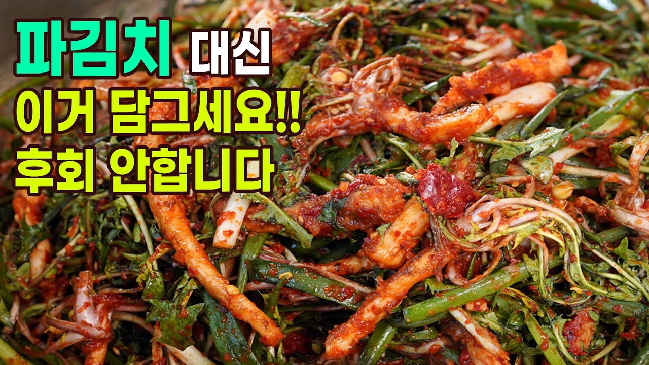 고들빼기보다 더 맛있는 봄에만 나오는 약초김치 입니다.  파김치에 손이 안가요. 민들레 김치