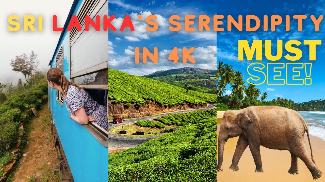 Sri Lanka's Serendipity in 4K: Ancient Ruins, Tea Gardens, and Tropical Beaches