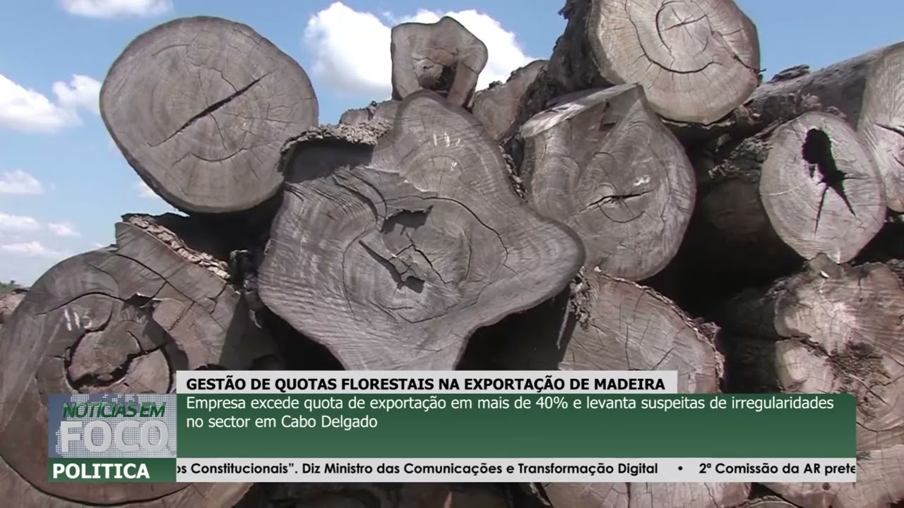 GESTÃO DE QUOTAS FLORESTAIS NA EXPORTAÇÃO DE MADEIRA