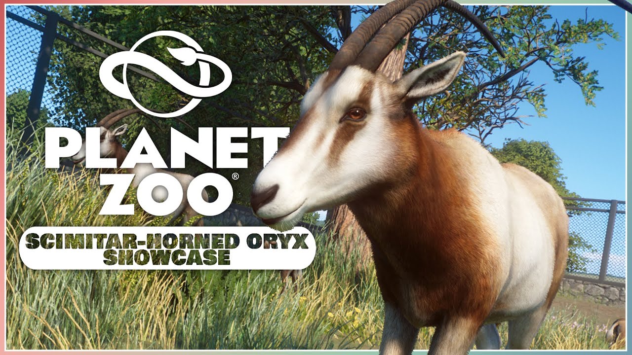 The Cutest Babies! | Scimitar-horned Oryx Showcase | Planet Zoo Conservation Pack