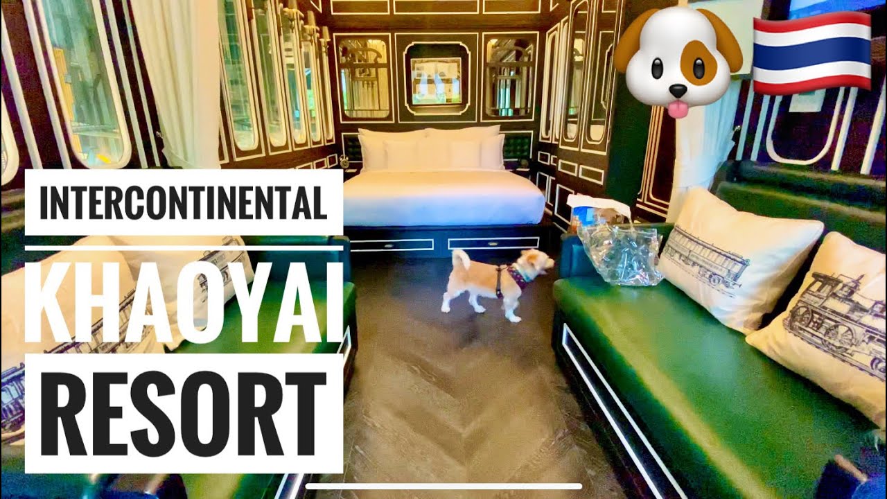 Visiting the Pet-friendly Intercontinental Khao Yai Resort￼ | อินเตอร์คอนติเนนตัล เขาใหญ่ รีสอร์ต 🐶