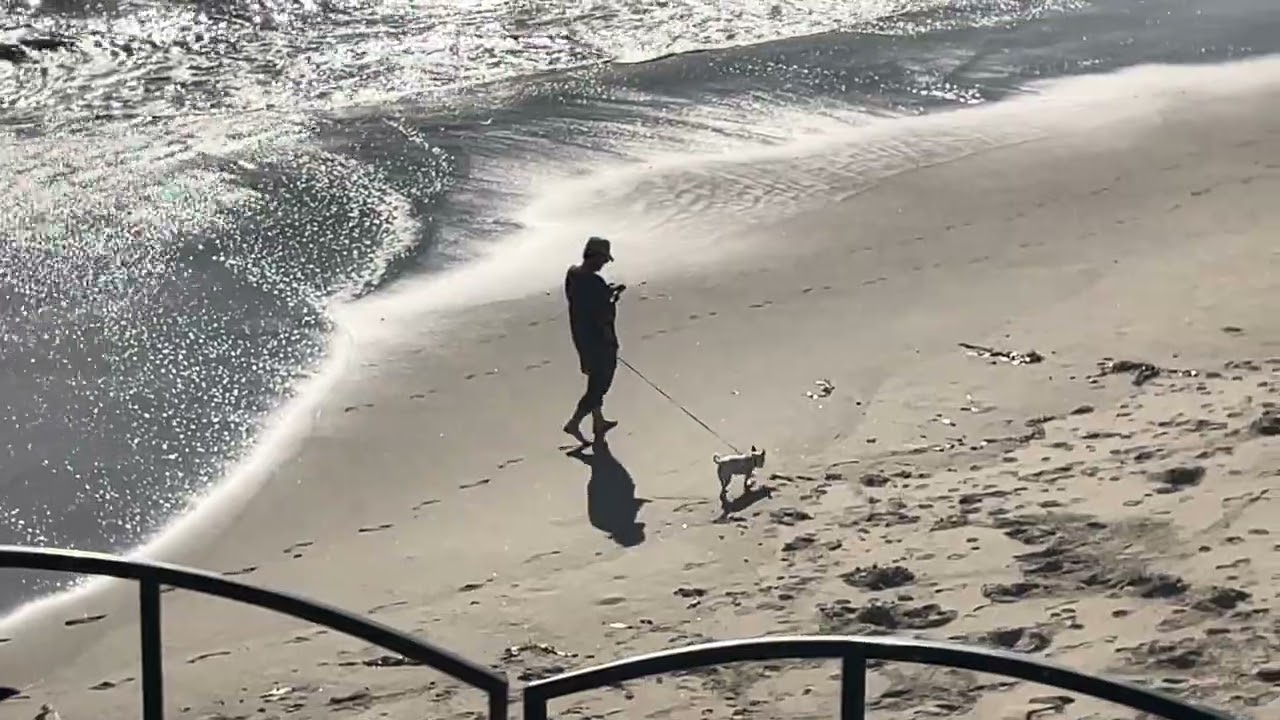 March 12, 2026 Sorry YouTube is still Broken at The Beach NorCal Santa Cruz California #socal