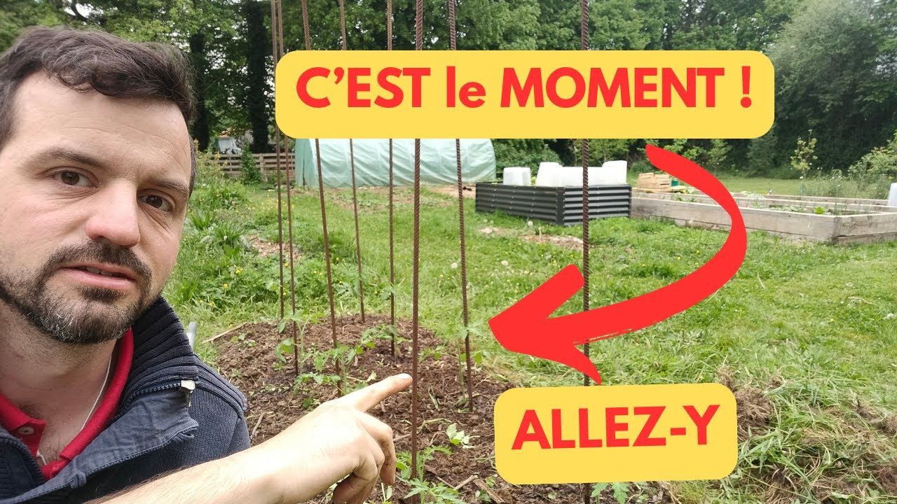 COMMENT bien PLANTER ses TOMATES