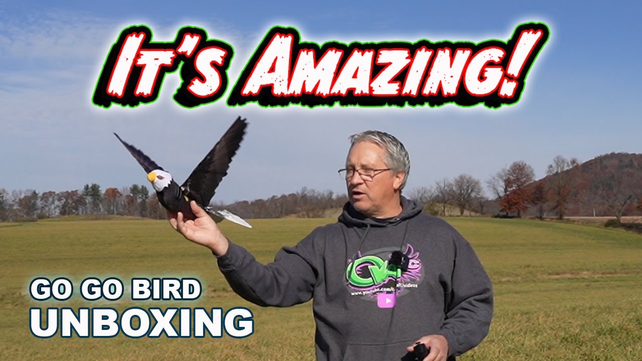 Remote Control Bird Unboxing & Test - Go Go Bird Eagle 1020