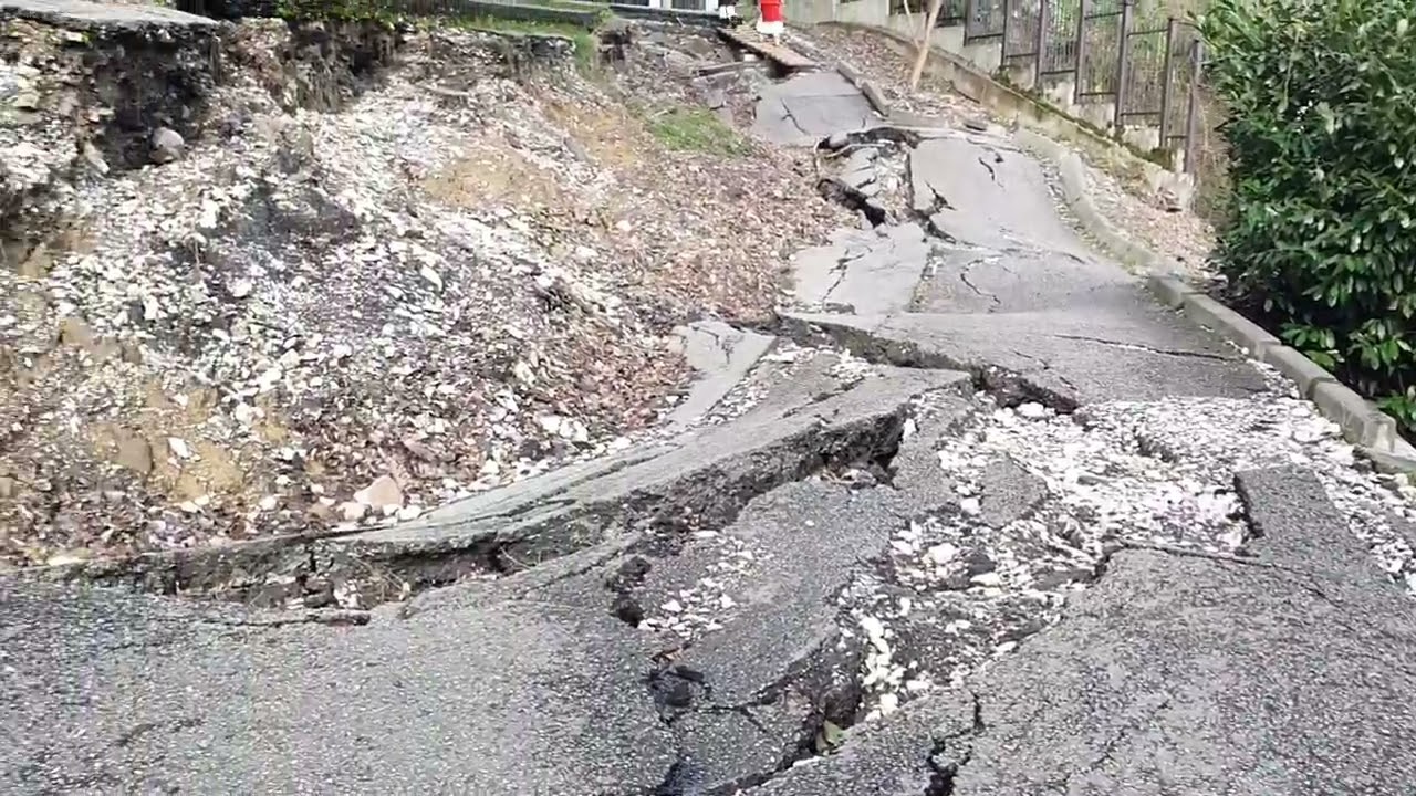 Тисо-самшитовая роща.  Окончание. 