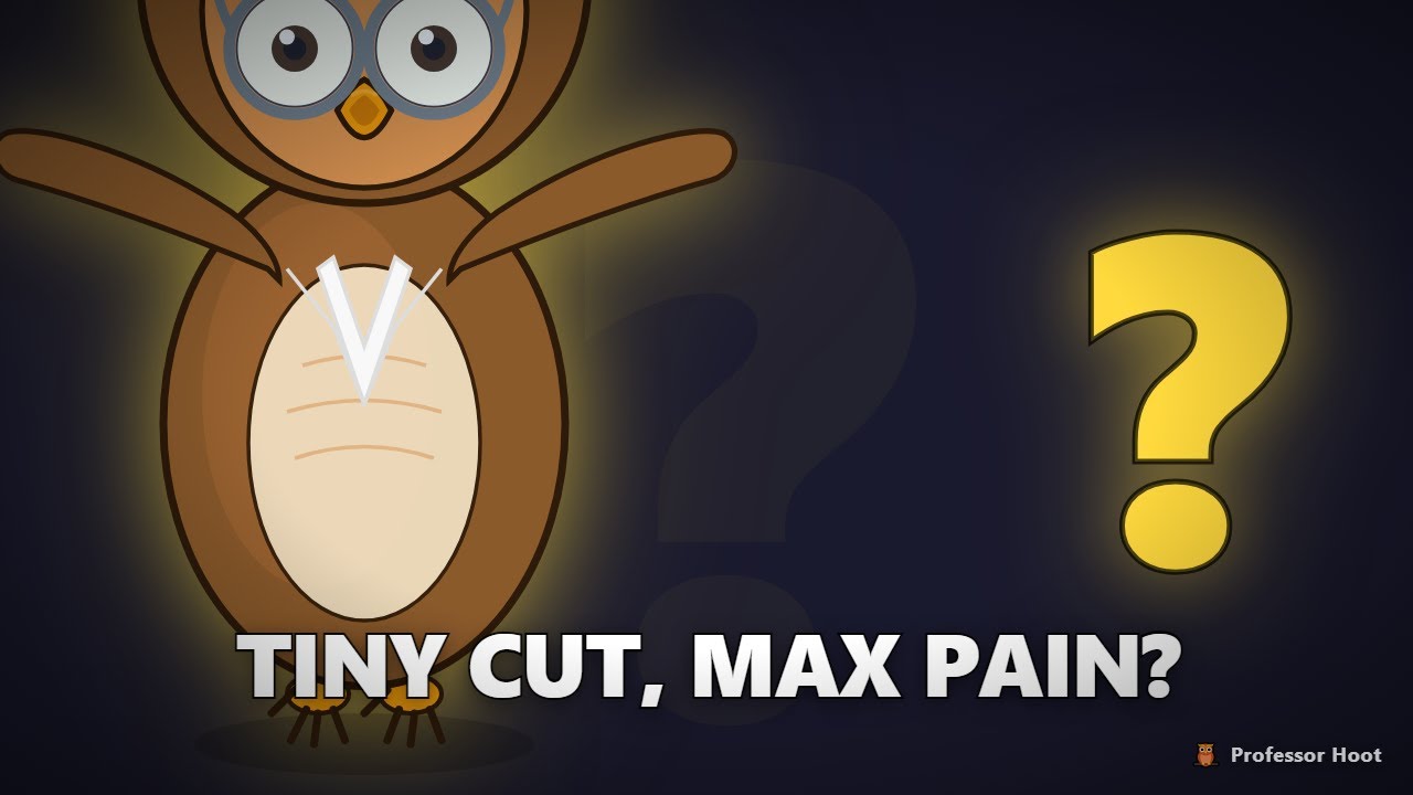 Why Paper Cuts Hurt More Than Real Wounds