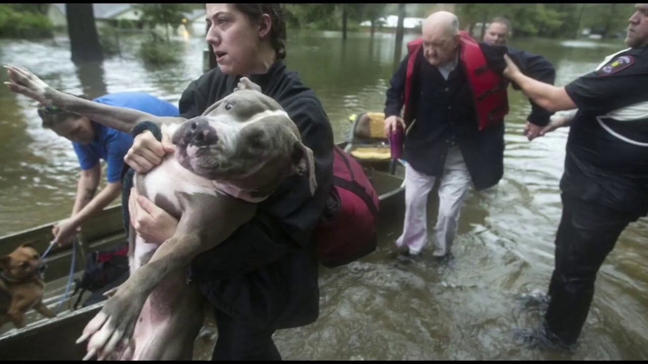 How To Prepare & Survive Flooding [Realistic Emergencies & Disasters]