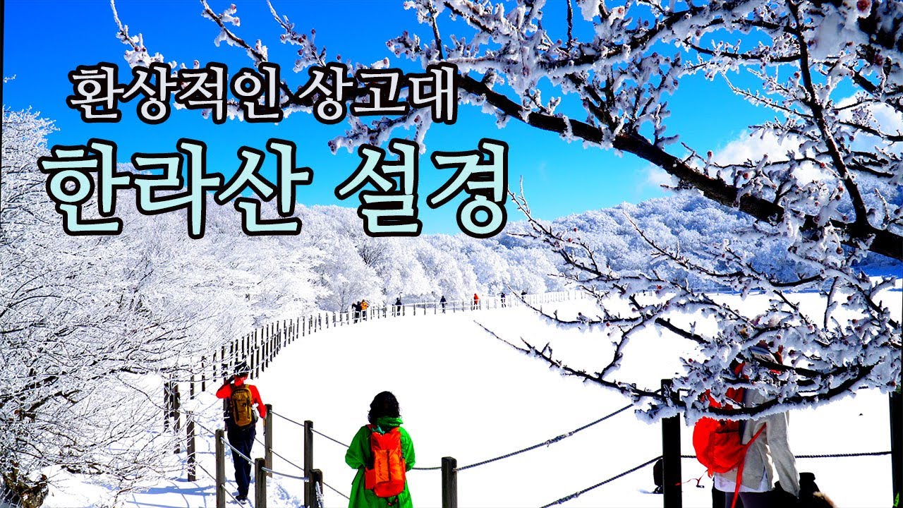 겨울왕국 한라산 설경과 환상적인 상고대 /한라산 설국여행/Hallasan Snow Country Tour/