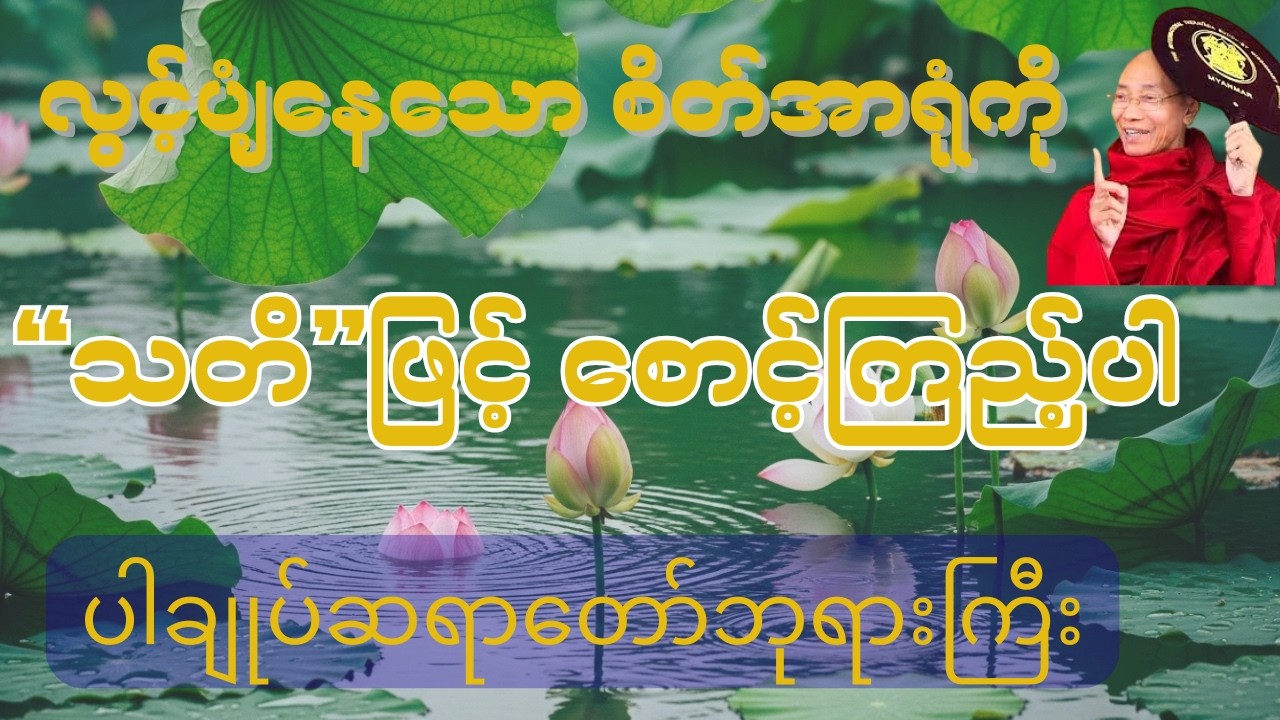 စိတ်ကိုသတိဖြင့် စောင့်ကြည့်ရမည်