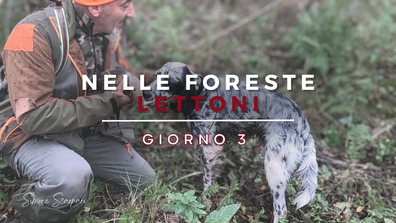 Caccia alla beccaccia nelle foreste Lettoni (2023) - Giorno 3 | IL GIORNO DI BALTO