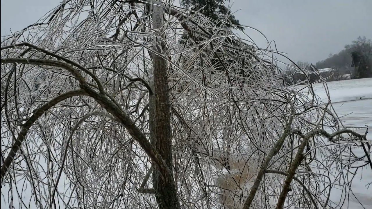Ice storm from Winter Storm Uri