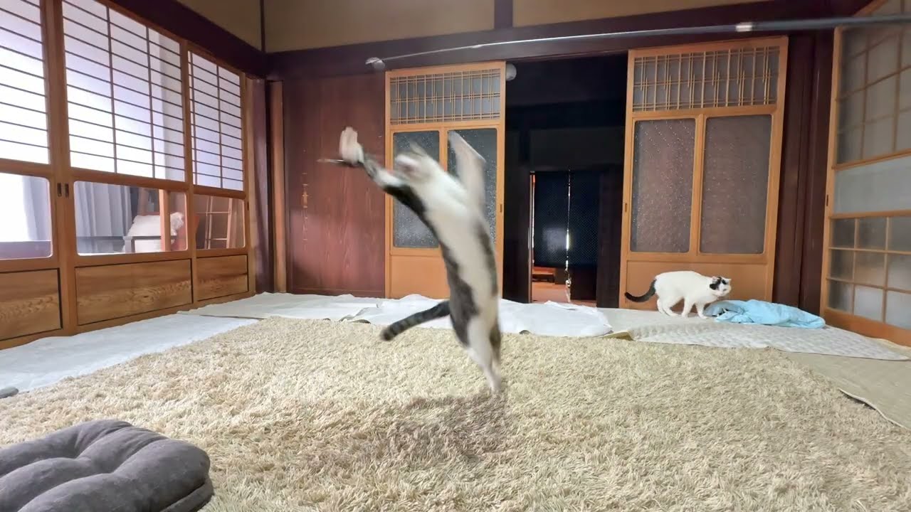 元気に飛びます走りますおもちゃ遊び【26年2月20日その6】