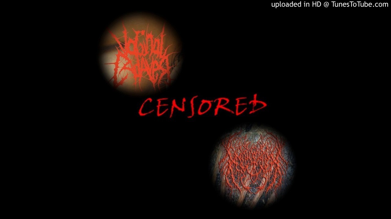 Vaginal Cadaver - It's No Secret That Your Girlfriend Is A Slut