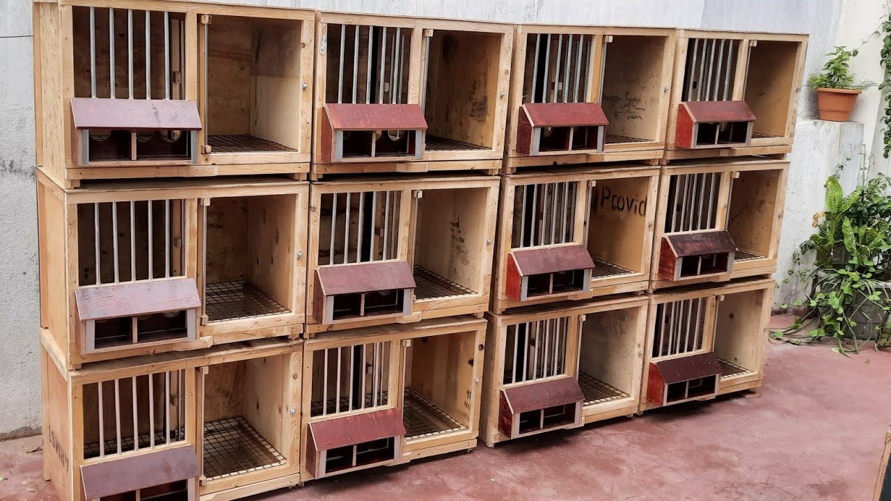 racing pigeon wido system breeding cage/cage design