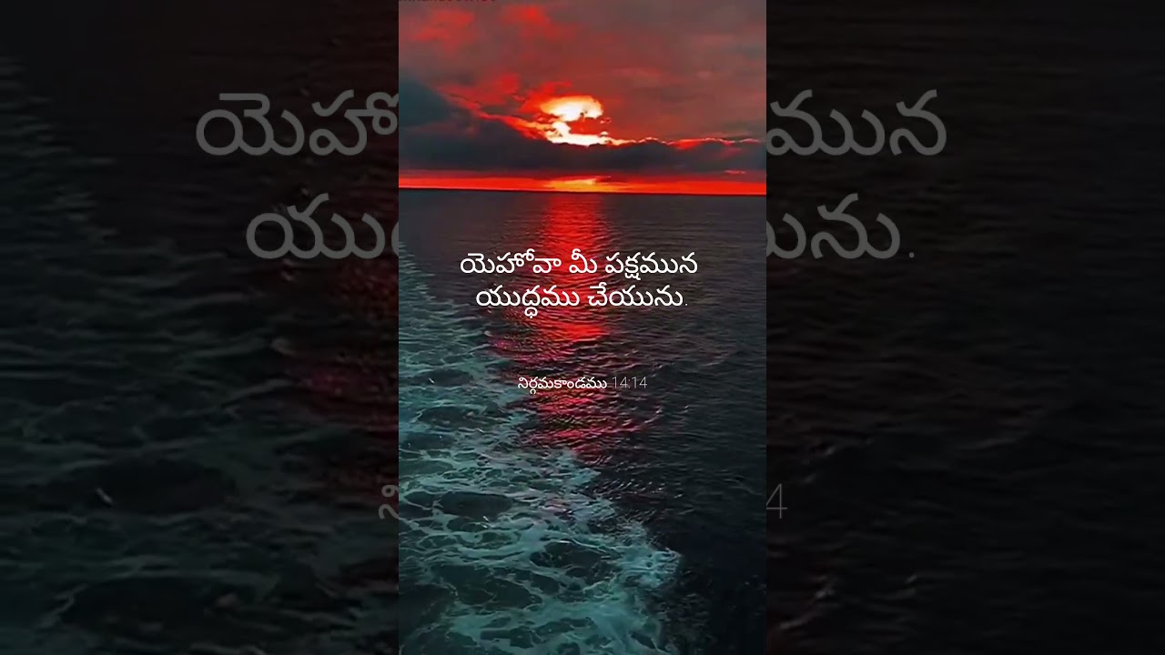 #bible