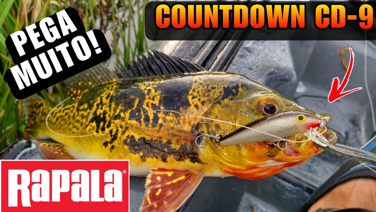A MELHOR ISCA RAPALA QUE JÁ USEI