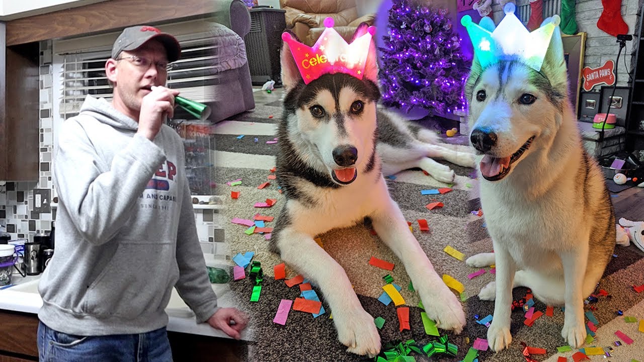Huskies Ring in the New Year
