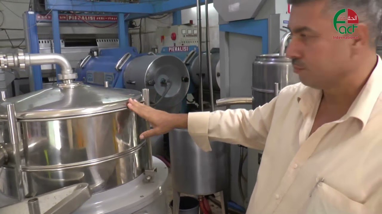 الزيت والزيتون   حكاية وطن في بلدة صوريف الخليل   الحقيقة الدولية