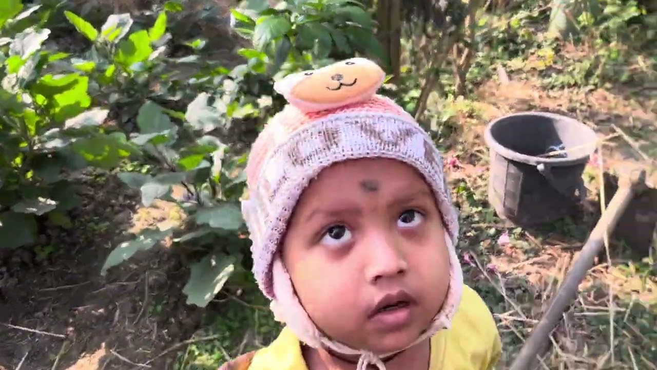ବାଡ଼ିରେ କିଏ ପଶିଛି 